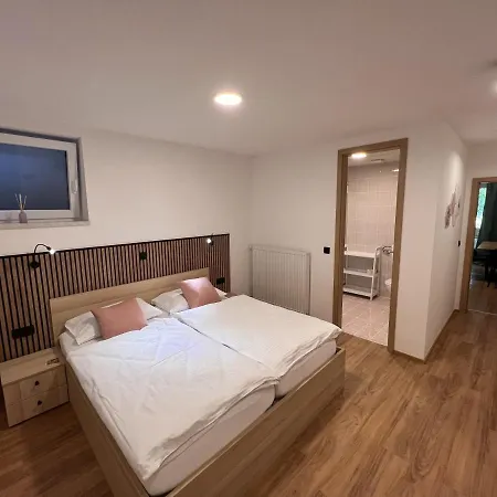 Appartement Prenocisca Mraz à Velenje Extérieur photo