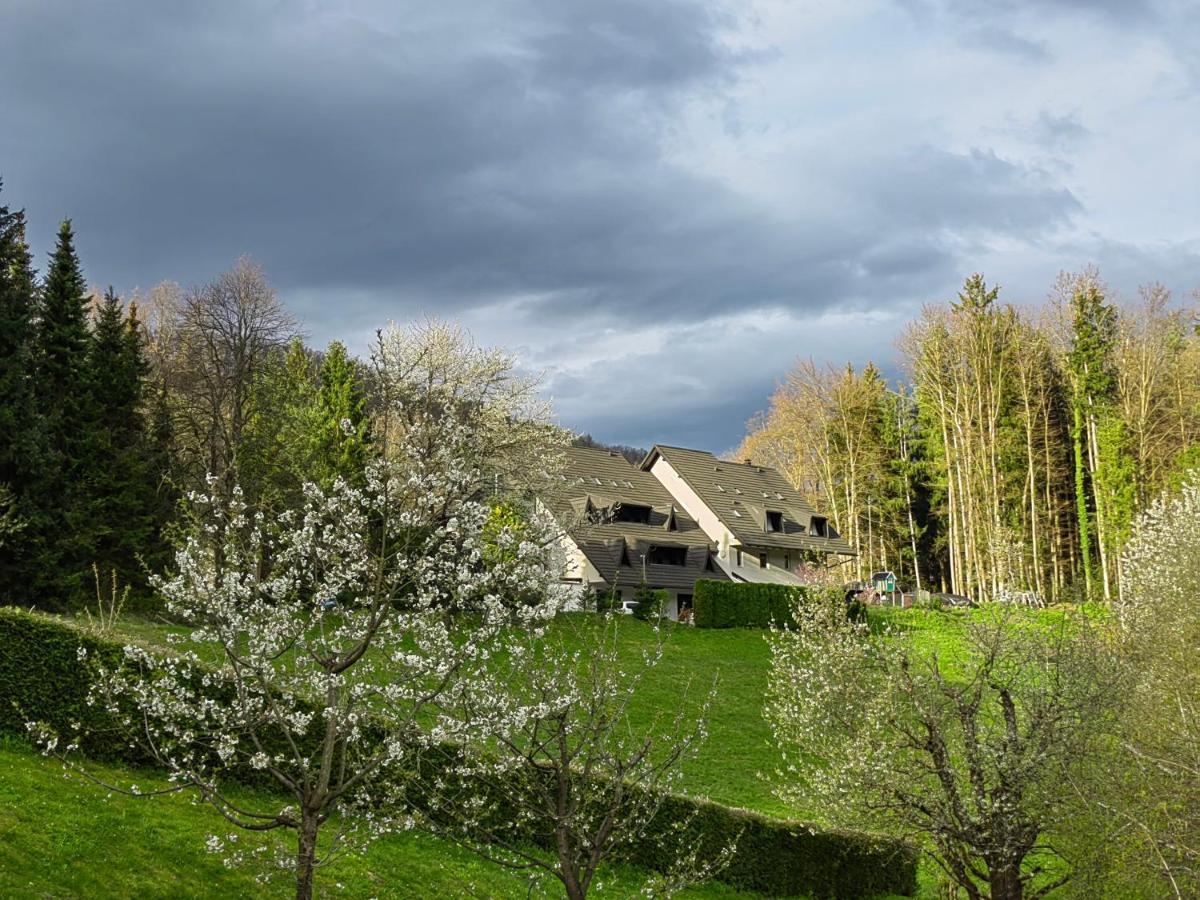 Séjour chez l'habitant Prenocisca Mraz